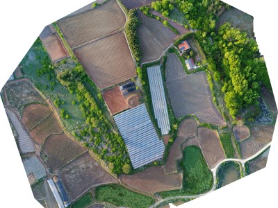 농지 측량 조사